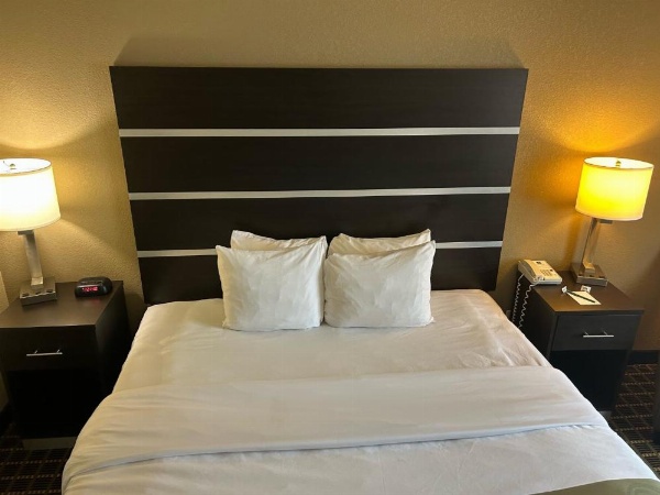 Quality Inn & Suites image 9